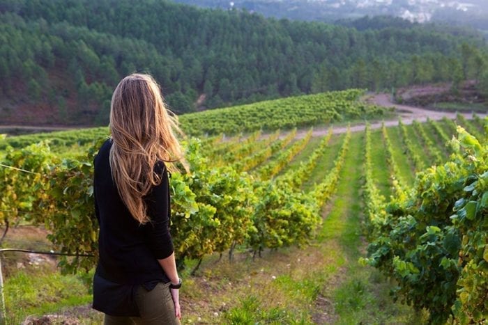 Route through the wineries of Galicia in 6 days :: Wine route in 6 days