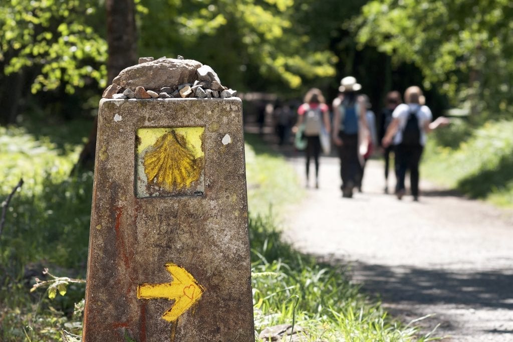 Camino de Santiago en groupe organisé